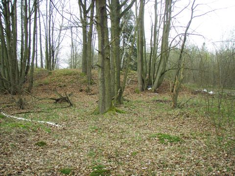 Foto 51